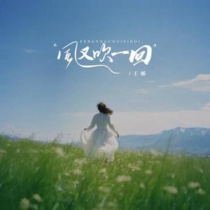 风又吹一回（DJ版）