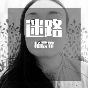 哔一声之后(CV王菲)