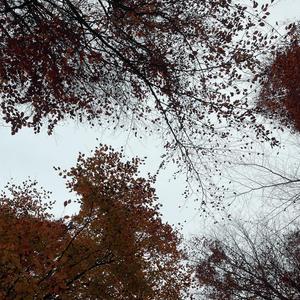 i know in my heart it was something more