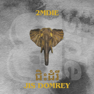 ជិះដំរី