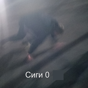Сиги 0