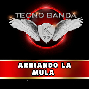 Arriando La Mula