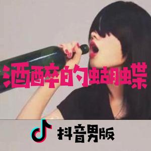 酒醉的蝴蝶（抖音男版）