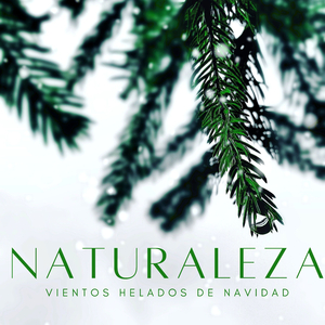 Durmiendo Junto A La Fogata