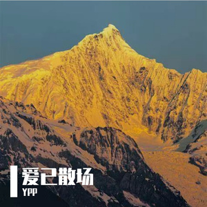 朝霏度韶华