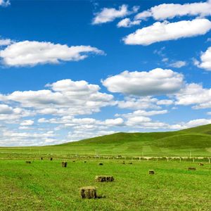 只剩回忆的骚扰