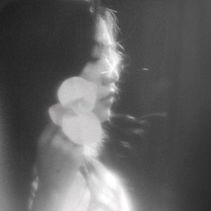 花落从容尽花开