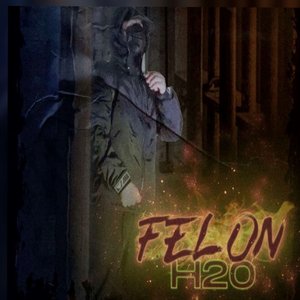 Felon