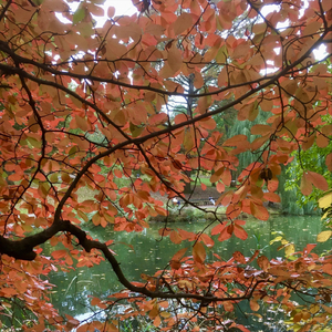 Alternative Sonatina Third Movement