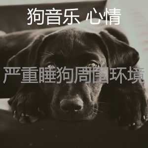 抚慰的睡狗回忆