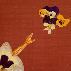 Jardín de Pensamientos