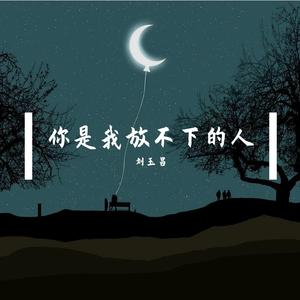 你是我放不下的人
