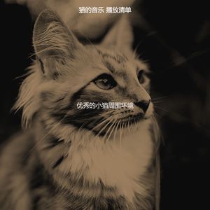 一尘不染放松的猫印象数
