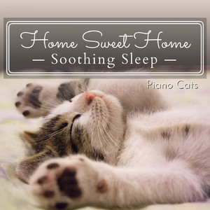 A Waltz for the Stars