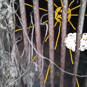 я ценю жизнь