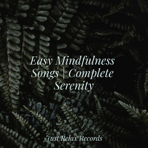 Frozen Rhapsody's Symphony