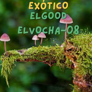 Exótico