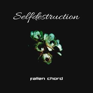 Selfdestruction