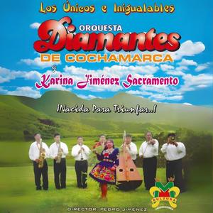 Parrandita 3 (feat. Los Diamantes de Cochamarca)