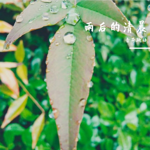 雨后清晨