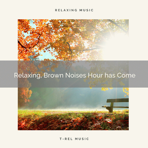 Get the Peace with Looped Noise and Relax