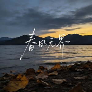 钢筋森林里的自画像