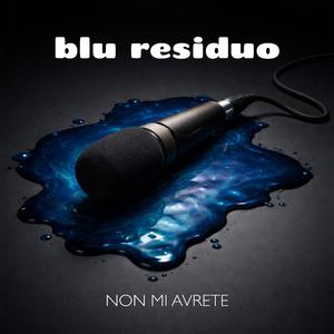Non mi avrete