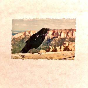 Smee-Boy Bouillabaisse