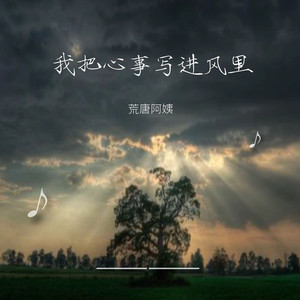 我把心事写进风里