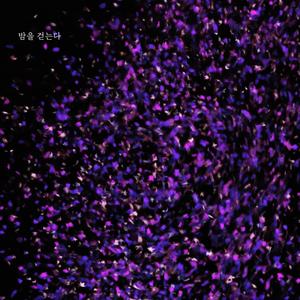 밤을 걷는다 (Instrumental)