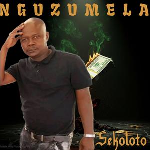 Sekoloto by nguzumela