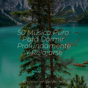 Fuentes de Deshielo Tranquilas