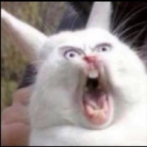 一首很无法形容的翻唱