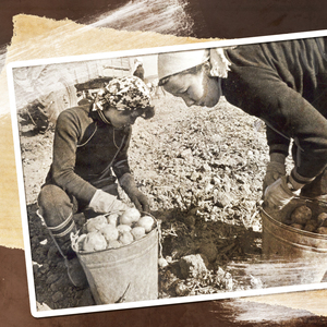 В небе заблудилась луна (Из кинофильма "Нужный человек")