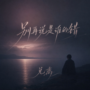 别再说是谁的错