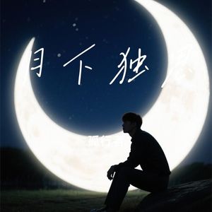 月下独思