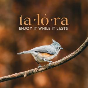 enjoy it while it lasts (feat. BARÇIN)