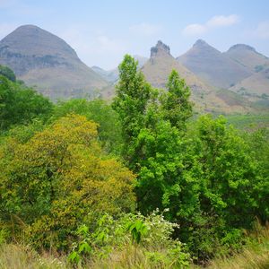 月牙漂亮是阴面画