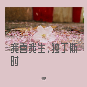 我看过 cover周星星