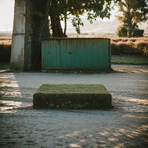 寄题庐山旧草堂兼呈二林寺道侣