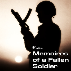 Memoires of a Fallen Soldier