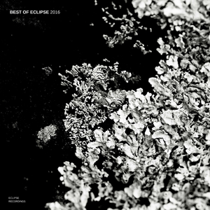 Evergreen (Fac3Off Remix)