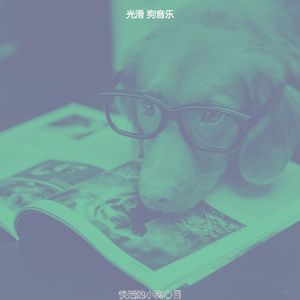 一尘不染孤独的狗印象数