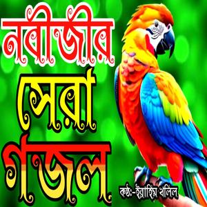 Nobijir Sera Gojol Mohammad Tomi Ogo Khodari Peyara