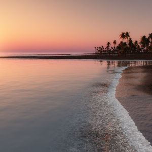 红尘不懂我心凉