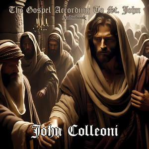 St. John Chapter 20