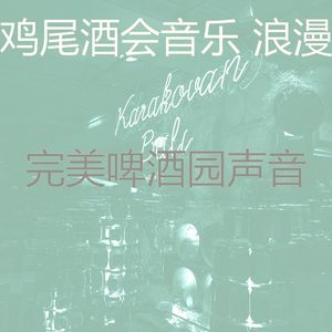 诗意的鸡尾酒吧节奏