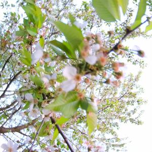 Drobiazgi (feat. Jagger)