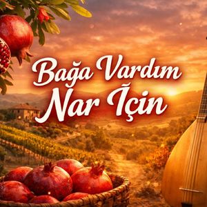 Bağa Vardım Nar İçin
