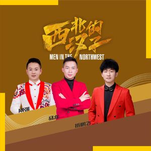 西北的汉子（Dj许伟版）